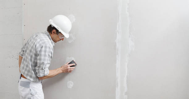 Best Water Damage & Mold Remediation  in , VT