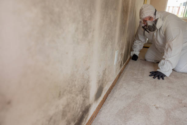 Best Residential Mold Inspection & Testing  in , VT